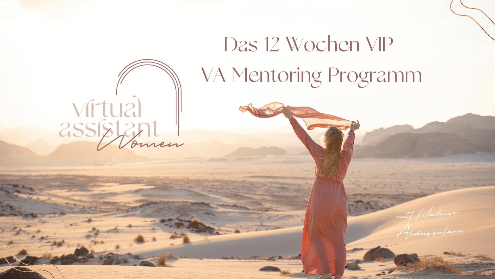 VA Mentoring Programm